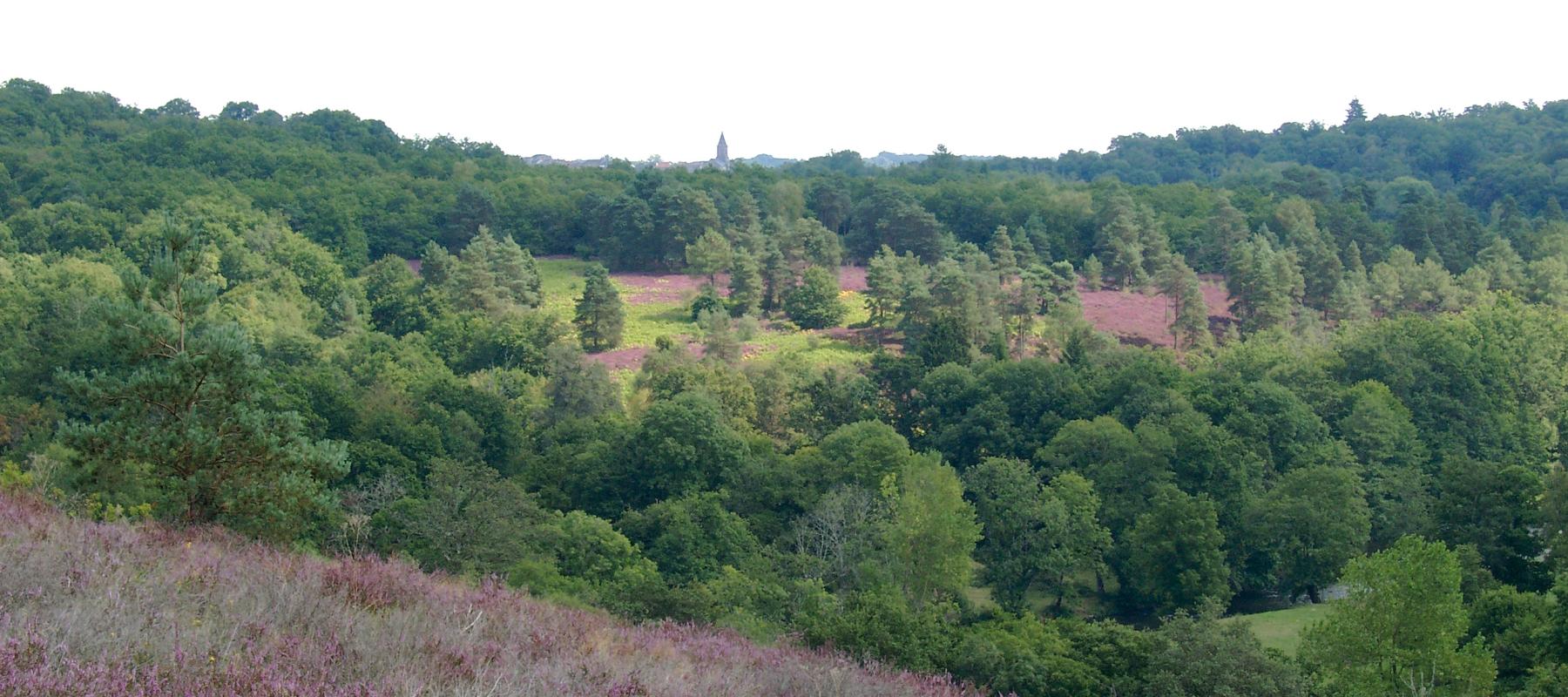 Paysage de landes sur la Gartempe