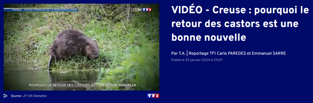 reportage castor