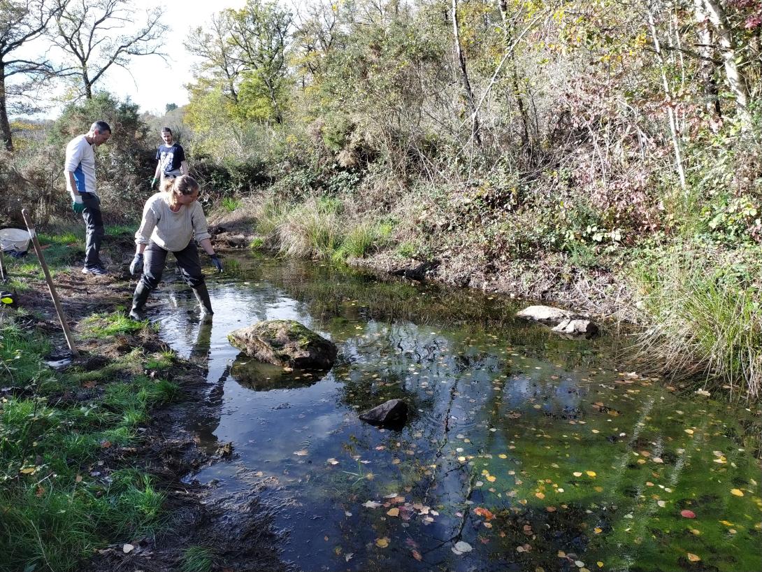 Nettoyage de la mare principale de l'ancienne carrière