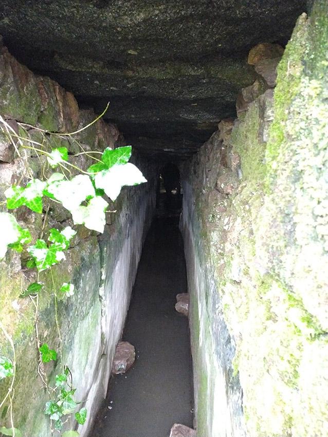 Souterrain suivi pour le comptage des chauves-souris